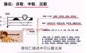 古训堂陈雷伤寒脉法讲解 第1张 古训堂陈雷伤寒脉法讲解 第1张