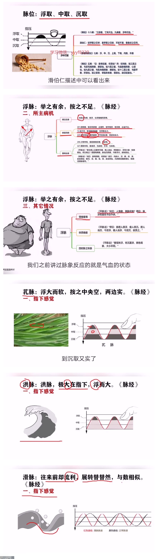 古训堂陈雷伤寒脉法讲解 第2张 古训堂陈雷伤寒脉法讲解 第2张