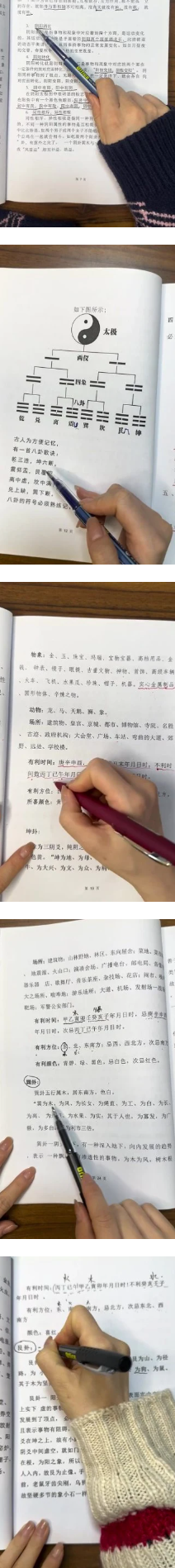隽宁老师《梅花视频课程》89集 第2张 隽宁老师《梅花视频课程》89集 第2张