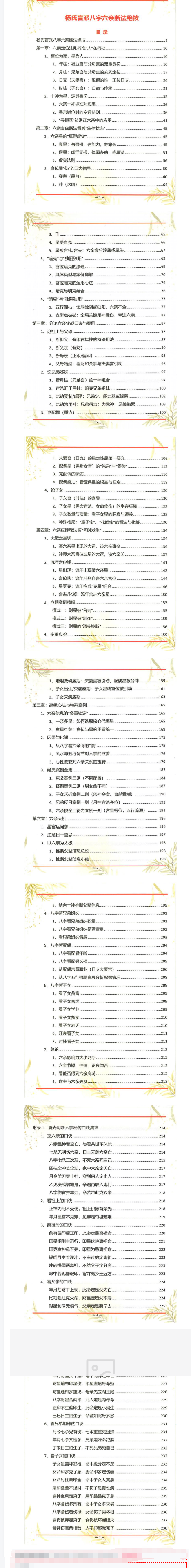 杨氏盲派八字六亲断法绝技杨清娟.pdf  第2张