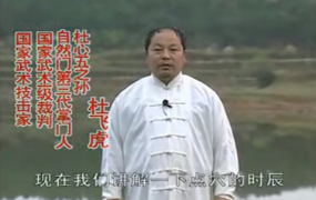 五百钱点穴，武术视频教程加书籍讲义