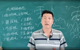 刘老师《元星派形峦风水》56集视频 第1张 刘老师《元星派形峦风水》56集视频 第1张