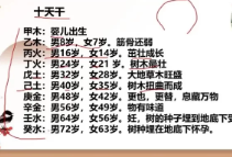 如是禅说梅花易数30集视频