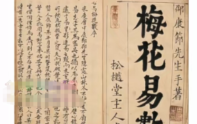 张赟慧·梅花易数导读