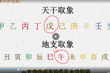 芝芝象法高阶课8集视频 第1张 芝芝象法高阶课8集视频 第1张