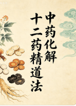 中药化解十二药精道法 第1张 中药化解十二药精道法 第1张