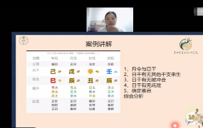 夏亦文三才易道姓名学16集 第1张 夏亦文三才易道姓名学16集 第1张