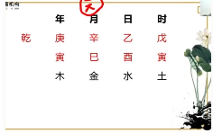 谭金龙老师禄命法基础重塑班171集 第1张 谭金龙老师禄命法基础重塑班171集 第1张