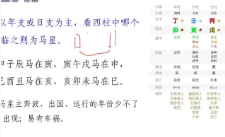 卯丁盲派基础精讲课20集视频 第1张 卯丁盲派基础精讲课20集视频 第1张