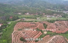 许联斌内部视频9集 第1张 许联斌内部视频9集 第1张