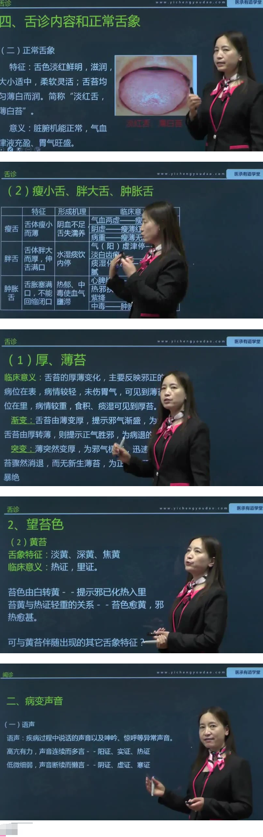 中医四诊望闻问切28讲  第2张