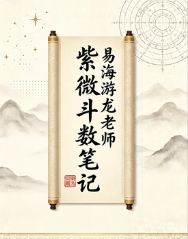 易海游龙老师整理紫微斗数笔记.pdf  第1张