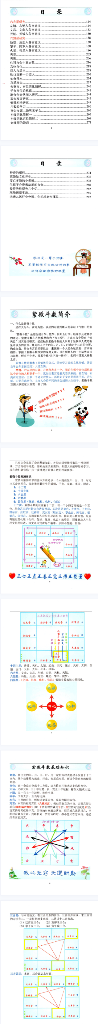 易海游龙老师整理紫微斗数笔记.pdf  第2张