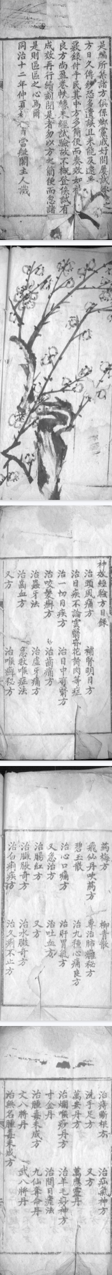 《仙方·神效经验方》.pdf 第2张 《仙方·神效经验方》.pdf 第2张
