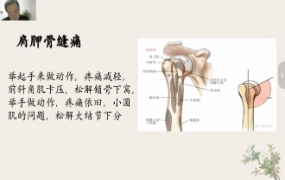 董洪坦药证经方培训班(第一期)视频课程等多个文件  第1张