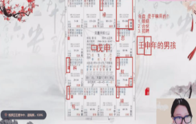 佟星《紫微斗数进阶课》16集视频约34小时  第1张