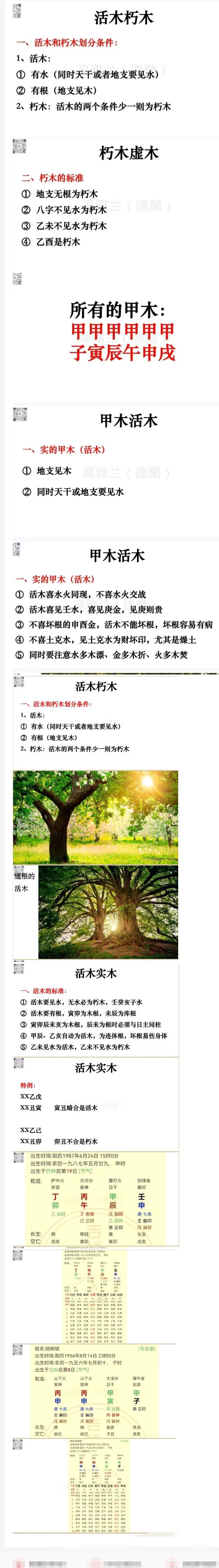 高雅兰《八字看活木朽木全面详解》132页.pdf 第3张 高雅兰《八字看活木朽木全面详解》132页.pdf 第3张