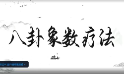 八卦象数系列基础课(视频18集) 第1张 八卦象数系列基础课(视频18集) 第1张