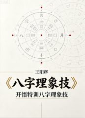王阳辉《八字理象技》开悟特训八字理象技.pdf 第1张 王阳辉《八字理象技》开悟特训八字理象技.pdf 第1张
