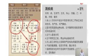 王哲《三式之学九宫奇门针灸易医弟子班》30集 第1张 王哲《三式之学九宫奇门针灸易医弟子班》30集 第1张