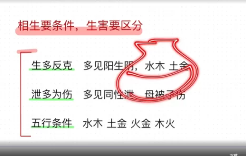 萤火虫八字象法20集 第1张 萤火虫八字象法20集 第1张